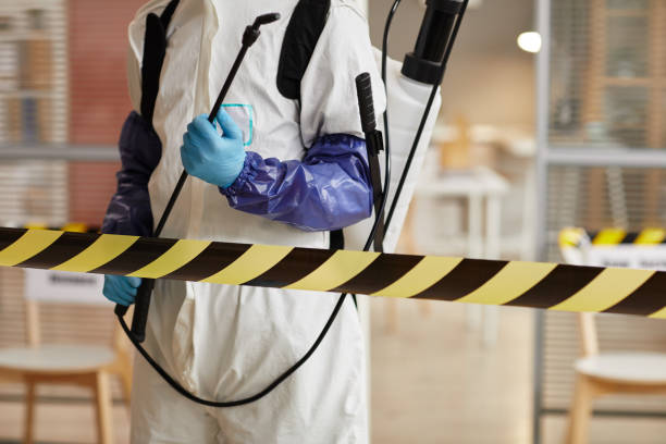 Professional Sewage Cleanup technician working in Saint Paris, OH
