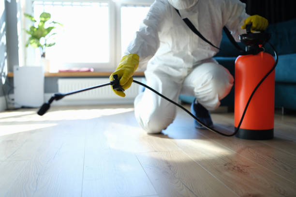 Reliable Sewage Cleanup contractor in Saint Paris, OH by Trauma Clean Pros